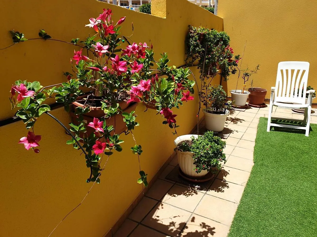Apartment 330 - Edf Aguamarina - Vacation Rental Home In The Coast Line Of Golf Del Sur San Miguel de Abona Spain